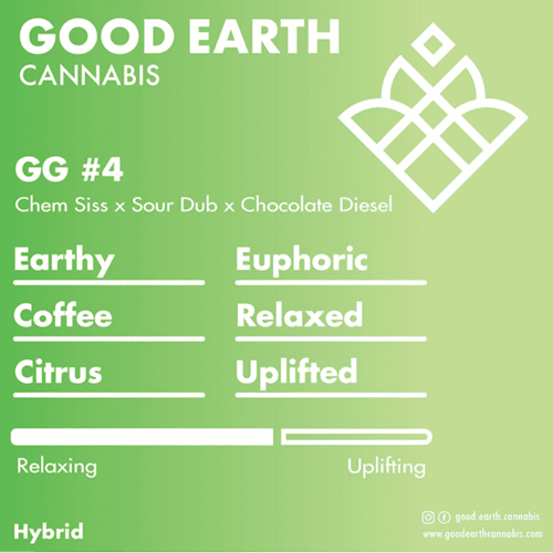 GG4 cultivar profile