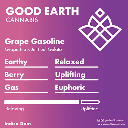 Grape Gasoline cultivar profile