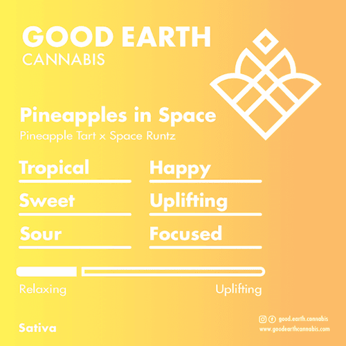 Pineapples in Space cultivar profile