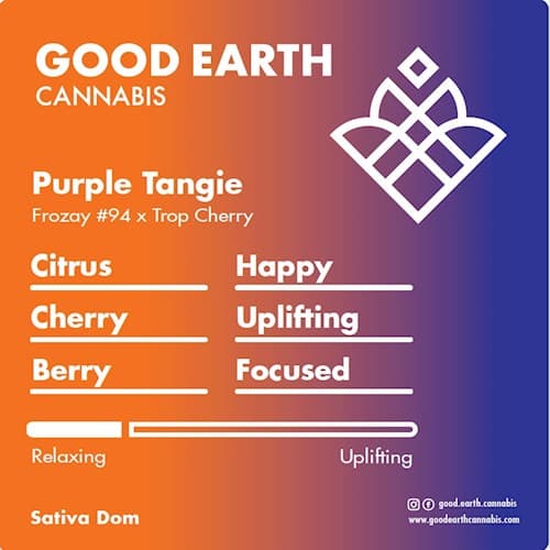 Purple Tangie cultivar profile